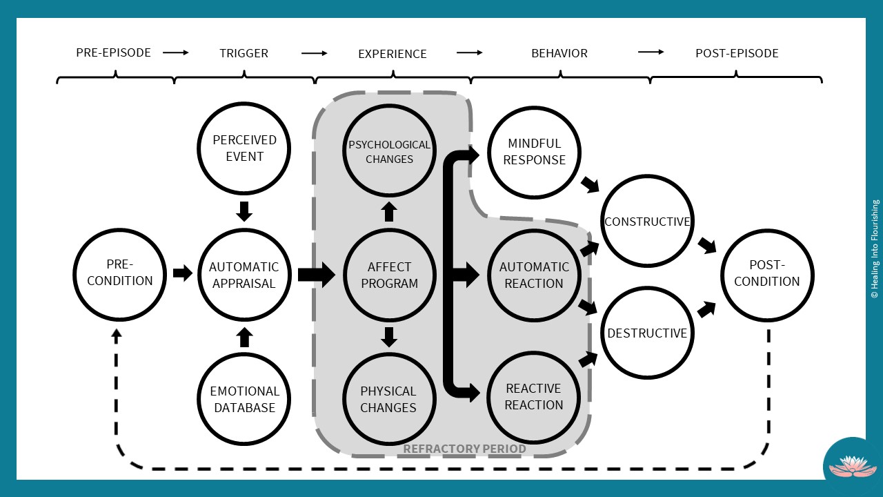 Emotion Mapping & Review